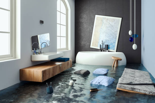 Best 24/7 water damage repair  in Daisetta, TX