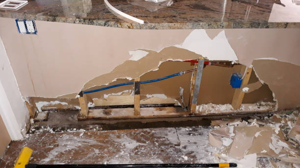 Best Water damage restoration near me  in Daisetta, TX