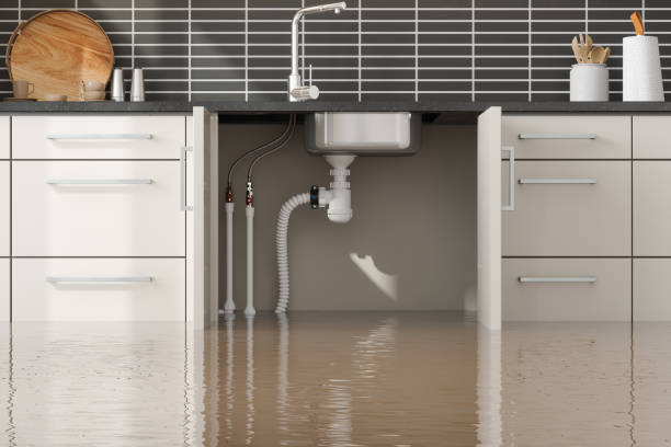 Best Water damage repair service  in Daisetta, TX